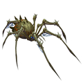 Desert Spider