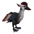 Ironbeak Duck