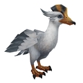 Ironbeak Duck