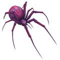 Amethyst Spiderling