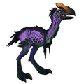 Darkmoon Hatchling