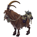 Brown Riding Goat