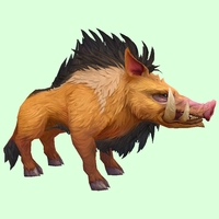 Brown Boar