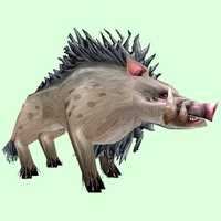 Pale Boar