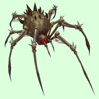 Grey Bone Spider