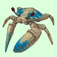 Blue & White Crab