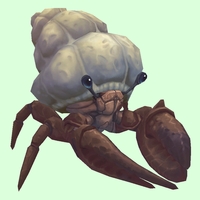 Brown Hermit Crab w/ Plain Shell