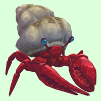 Ruby & Sapphire Hermit Crab w/ Sandy Shell