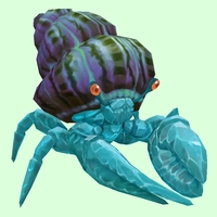 Diamond Hermit Crab w/ Purple & Green Shell