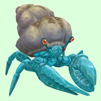 Diamond Hermit Crab w/ Sandy Shell