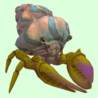 Green & Purple Hermit Crab w/ Pale Orange & Blue Shell