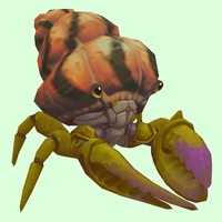 Green & Purple Hermit Crab w/ Orange & Black Shell