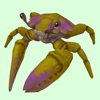 Green & Purple Crab