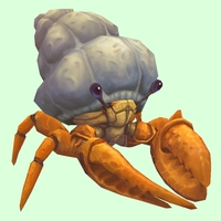 Orange Hermit Crab w/ Plain Shell