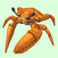 Orange Crab