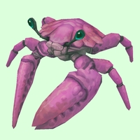 Pink Crab