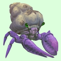 Purple Hermit Crab w/ Barnacled Shell