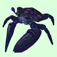 Indigo Crab