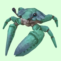 Teal Crab