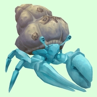 Light Blue Hermit Crab w/ Barnacled Shell