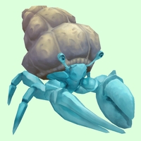 Light Blue Hermit Crab w/ Plain Shell