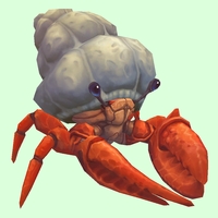 Vermilion Hermit Crab w/ Plain Shell