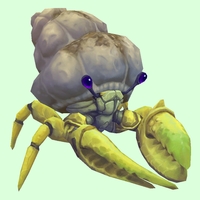 Yellow Hermit Crab w/ Sandy Shell