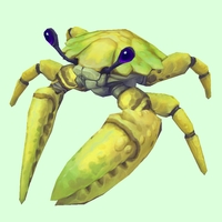 Yellow Crab