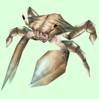 Classic White Crab