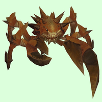 Red-Brown Spiked Crab