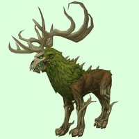 Green Thornbuck