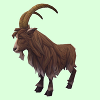 Brown Goat