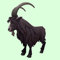 Black Goat