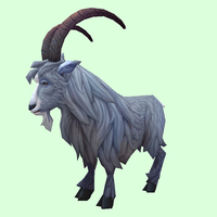 Grey Goat