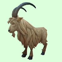 White Goat