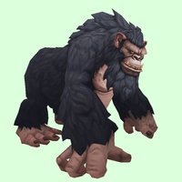 Black Gorilla