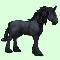 Black Horse w/ Long Mane