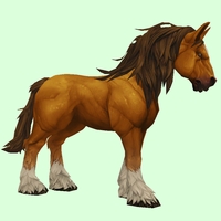 Light Chestnut Horse w/ White Socks & Long Mane