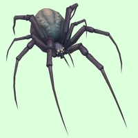 Purple-Grey Spider