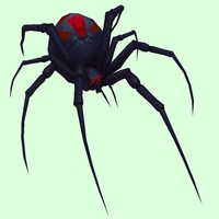 Black Widow Spider