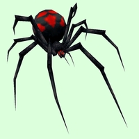 Black Widow Spider