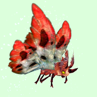 Red & White Moth