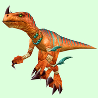 Orange Raptor