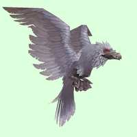 White Raven