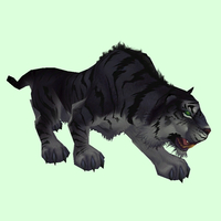 Black Tiger