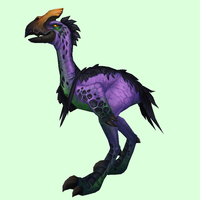 Purple Tallstrider