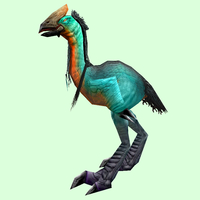 Classic Turquoise Tallstrider