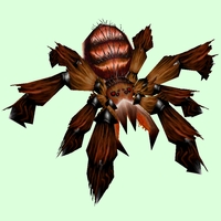 Red Tarantula