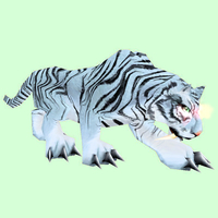 Striped White Mystic Cat