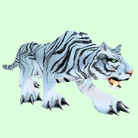 Striped White Cat